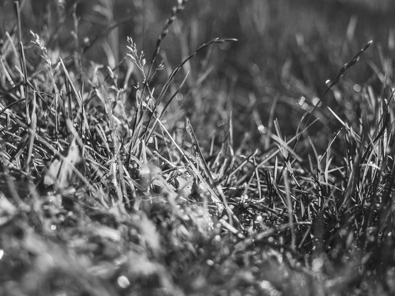 sudoku cross platform screenshot 5