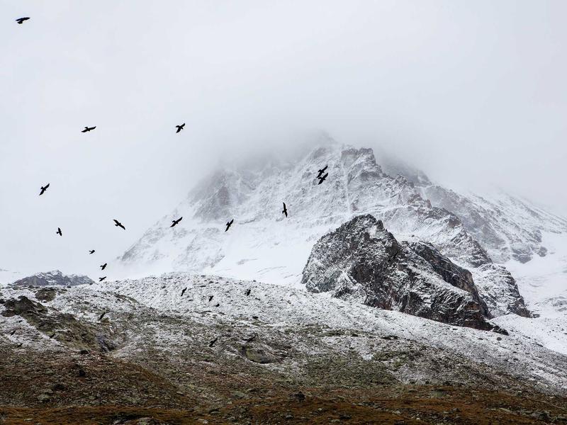 sudoku technique mastery screenshot 5